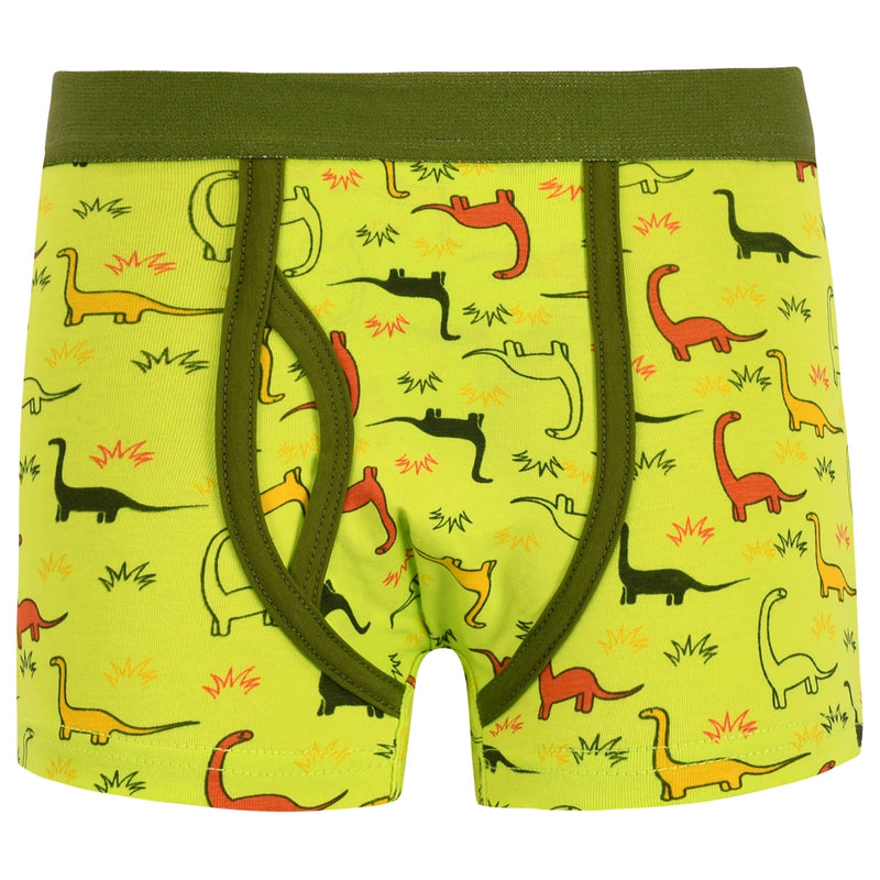 Kit 5 Cuecas Boxer Estampa com Suporte Frontal-Kids