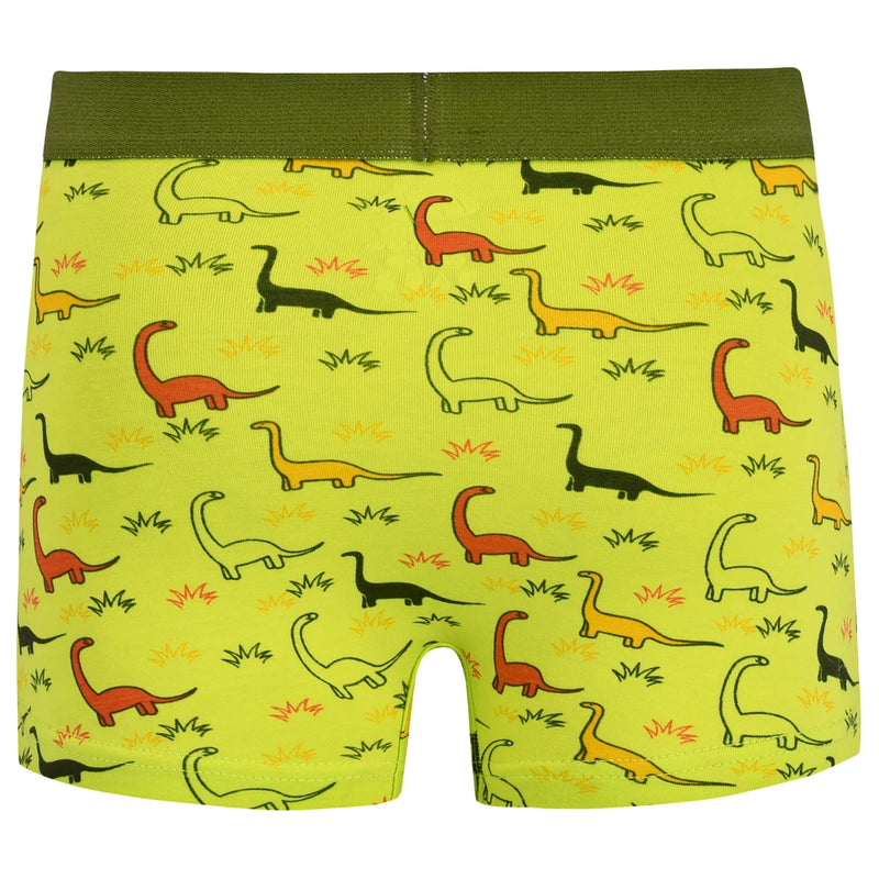 Kit 5 Cuecas Boxer Estampa com Suporte Frontal-Kids